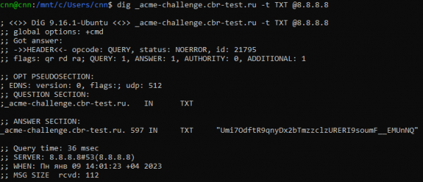 _acme-challenge.cbr-test.ru _acme-challenge.cbr-test.ru